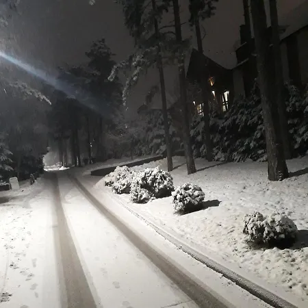 Apartment Pavle Zlatibor