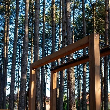 Pavle Apartment Zlatibor