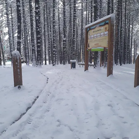 Pavle דירה זלאטיבור