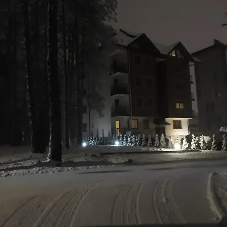 Pavle Apartment Zlatibor