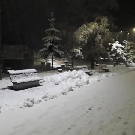 Pavle זלאטיבור