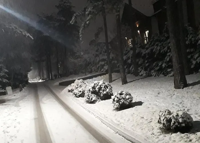 Apartament Pavle Zlatibor