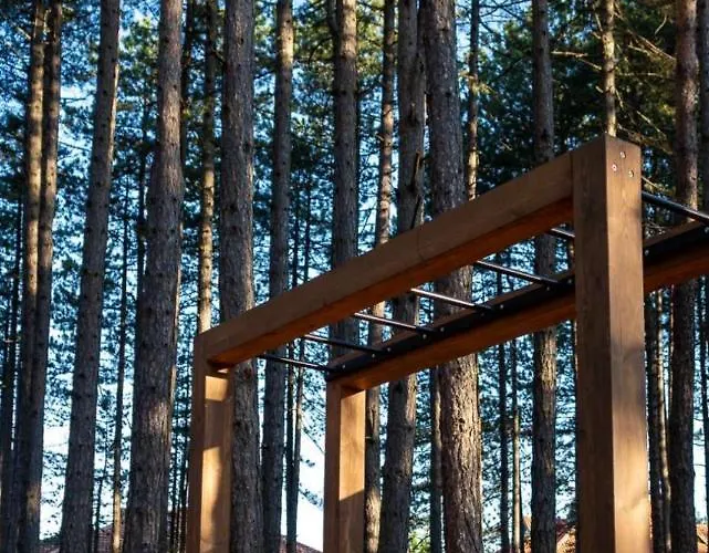 Pavle Apartament Zlatibor