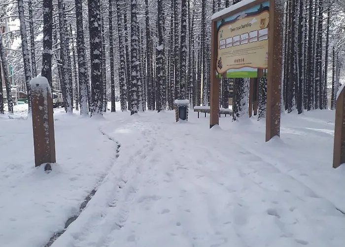 Pavle Apartament Zlatibor