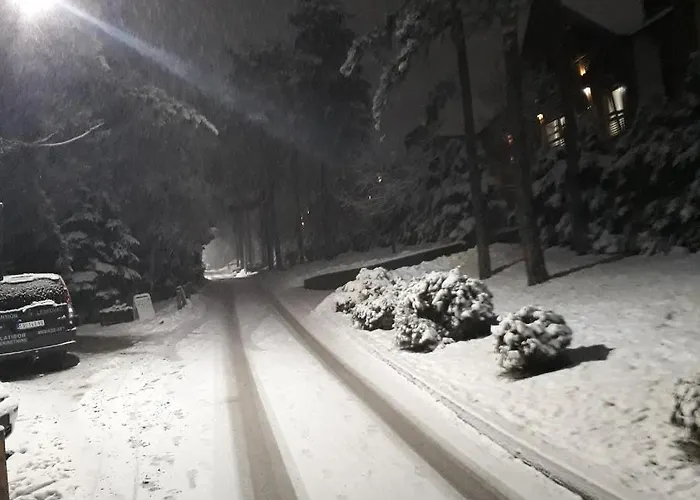 Apartament Pavle Zlatibor